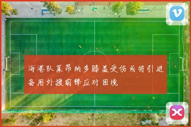 海港队莱昂纳多膝盖受伤或将引进备用外援前锋应对困境