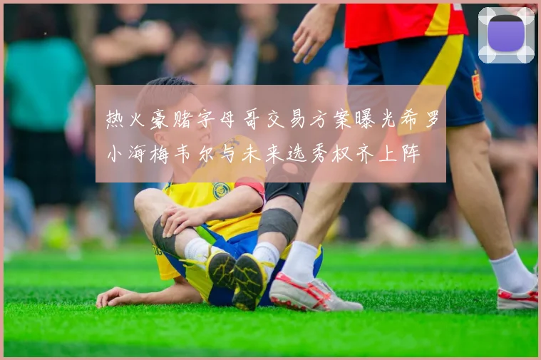 热火豪赌字母哥交易方案曝光希罗小海梅韦尔与未来选秀权齐上阵